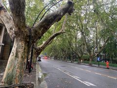 -也枫·小黄楼(南山路旗舰店)