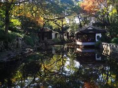 -秋霞圃