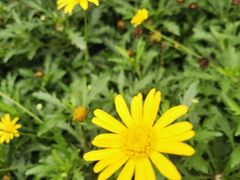-成飞公园