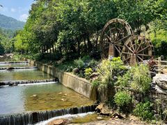 -广州白江湖森林公园