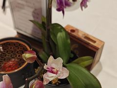 -金河半岛园林酒家(金融城店)