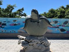 -广东惠东海龟国家级自然保护区