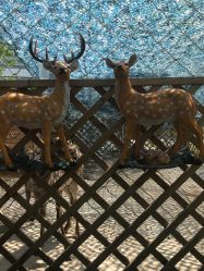 -萌宠亲子动物乐园(槐房万达店)