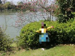 -桃花岛景观公园