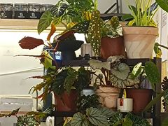 -Dinoo 片场咖啡(酒仙桥店)