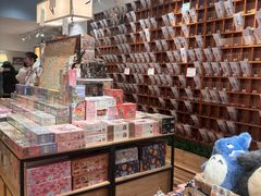 -猫的天空之城概念书店(束河店)