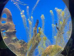 -江和美海洋公园