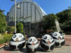 -石排湾郊野公园