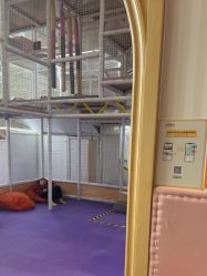 -奈尔宝家庭中心·亲子餐厅(华采天地店)