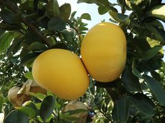 -漩门湾国家湿地公园