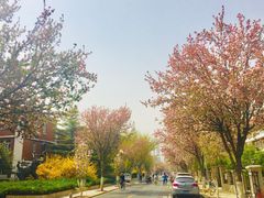 -天津五大道文化旅游区