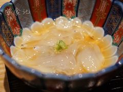 鳗鱼苗-橼舍鮨青木