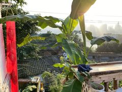 -悟饮门市景店