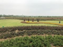 -漩门湾国家湿地公园