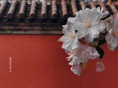 -国家植物园