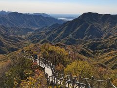 -大岭沟猕猴桃谷风景区