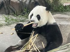 -宁波野生动物园