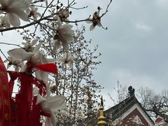 -长春观