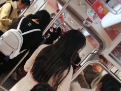 -国家植物园(地铁站)