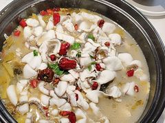 -周渝食惦酸菜鱼(青浦店)