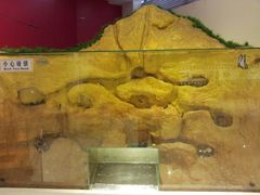 android_upload_pic-上海昆虫博物馆