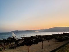 -渔家火锅·海鲜自助餐·演艺(亚龙湾天域酒店)
