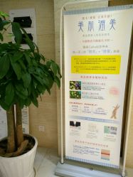 -银座Calla