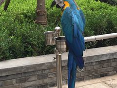 招客-那家小馆•北京菜•烤鸭(中关村店)