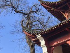-长春观