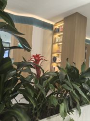-LIHER北京丽合医疗美容医院