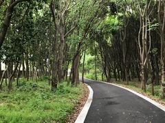 -同里国家湿地公园