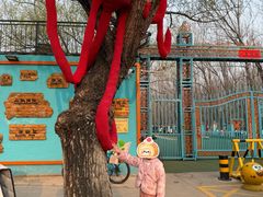 -北京梧桐树双语幼儿园