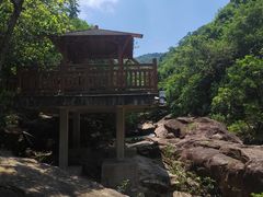 -广州白江湖森林公园