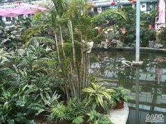 IMG_0424-龙凤山庄(永定镇店)