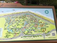 -上海滨江森林公园