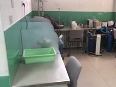 -利又安动物医院··老年病·猫科犬科·中兽医