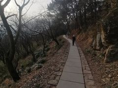 -莫干山风景区