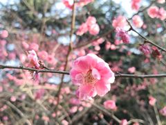 -白塘生态植物园