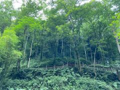 -青城山