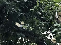 -吴淞炮台湾湿地森林公园烧烤区