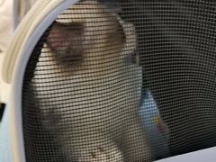 -美联众合动物医院·24h京西诊疗中心