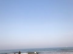 -日照海滨国家森林公园