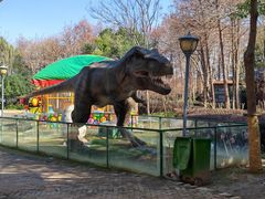 -合肥滨湖国家森林公园