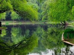 -上海共青森林公园