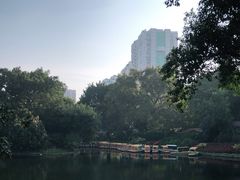 -晓港公园