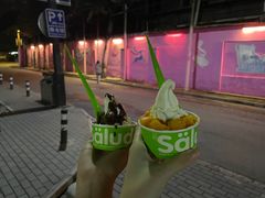 -Salud撒露欧洲冻酸奶(798艺术区店)