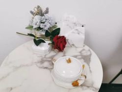 包房-La Rose·轻奢皮肤管理