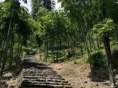 -仙霞关景区