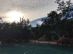 -石油幼儿园