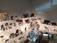 -墨尔本博物馆(Melbourne Museum)